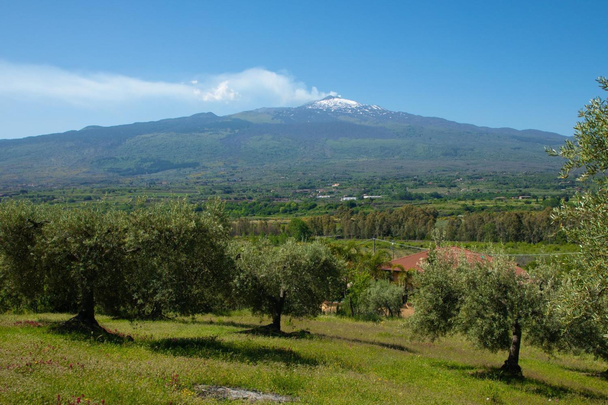 B&B Affittacamere Al Vulcanetto Moio Alcantara Exterior foto